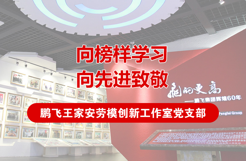 弘扬劳模精神 致敬榜样力量--鹏飞王家安劳模创新工作室党支部